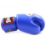 Боксерские перчатки Twins Special (BGVL-3 blue)